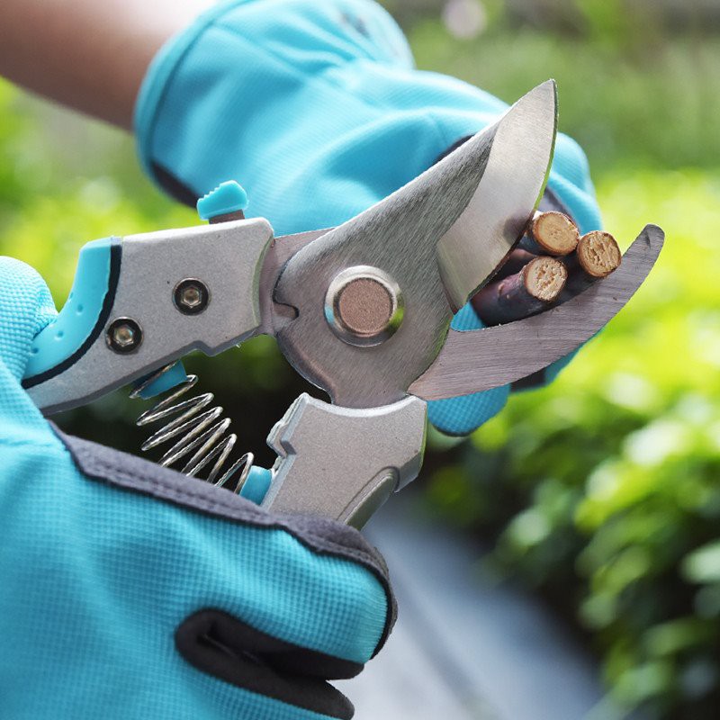 bypass pruning shears