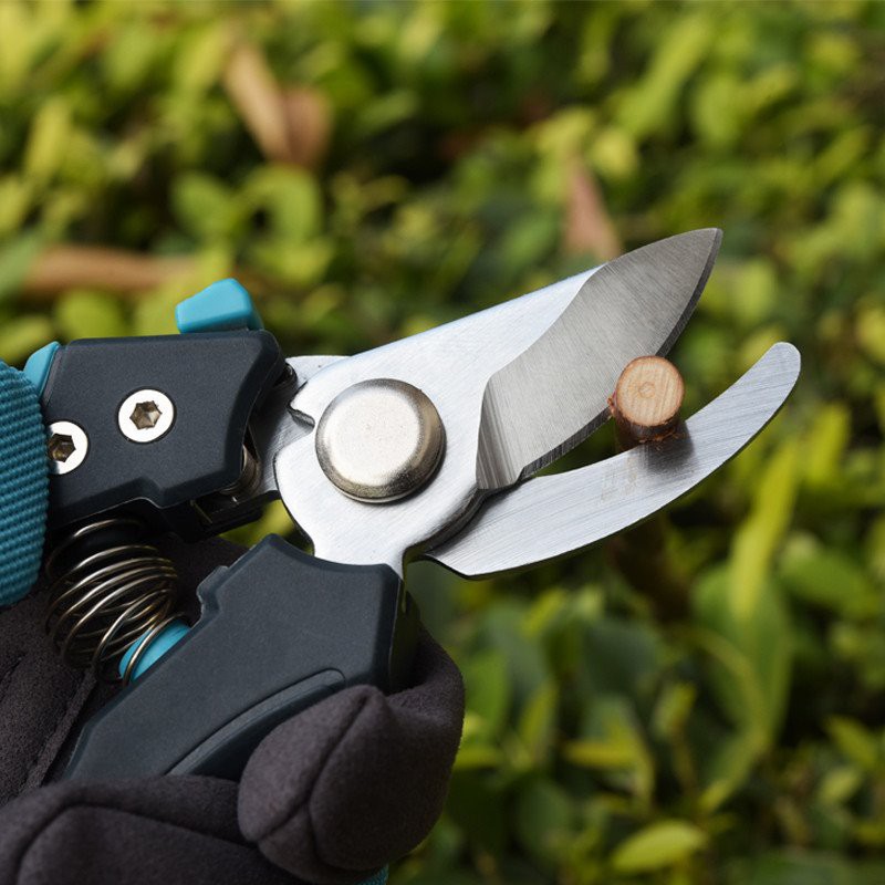 product-800-800 small pruner shears