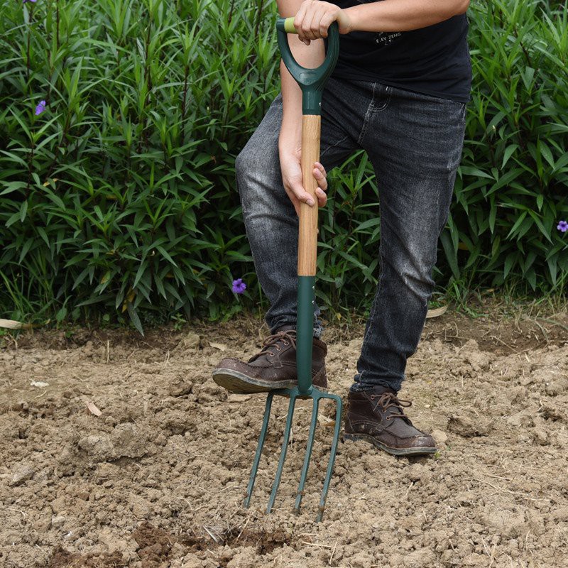 Usage scenarios of garden digging fork