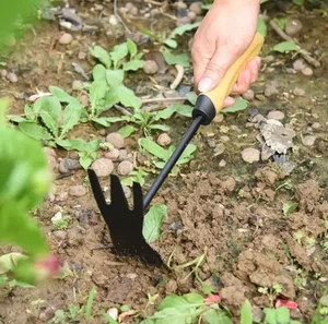 info-300-297 info-300-297