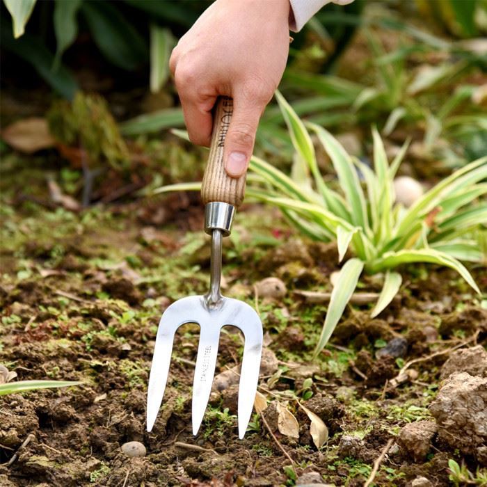 garden hand fork scene