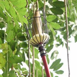 Na čo si mám dať pozor pri zbere jabĺk?