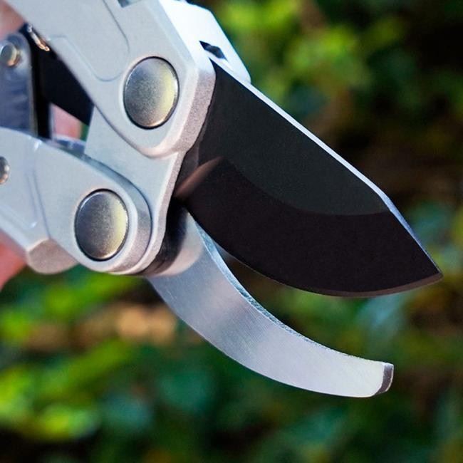 Sharp Pruner