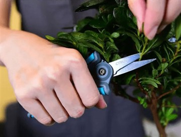 Prečo sme uviedli na trh nové a väčšie nožnice