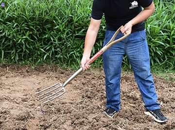Stručné predstavenie ruskej záhradnej kultúry
