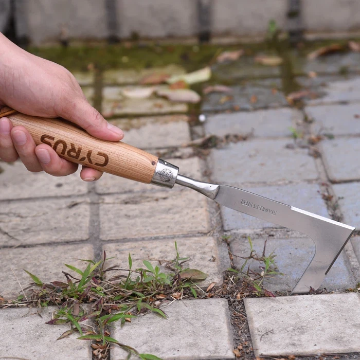 Odstraňovanie buriny v záhrade je jednoduché s nerezovou ručnou plečkou
