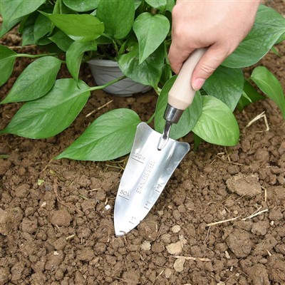 Denník záhradnej výsadby -1