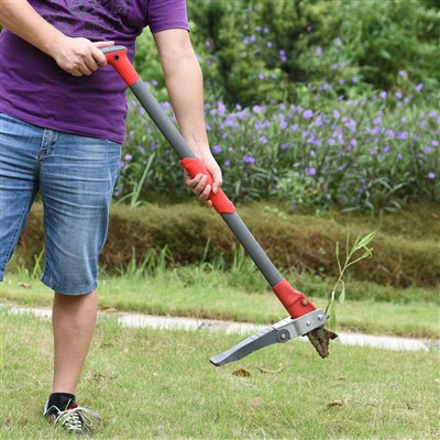 Postavte sa Weeder za bez námahy buriny