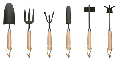 Výsadba paradajok doma