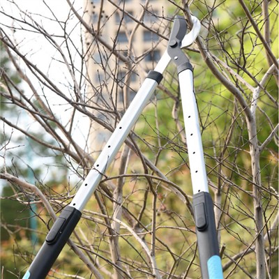 Záhradníctvo pre zaneprázdnených jednotlivcov: Tipy na starostlivosť o záhrad...