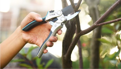 Garden Cutting Tools
