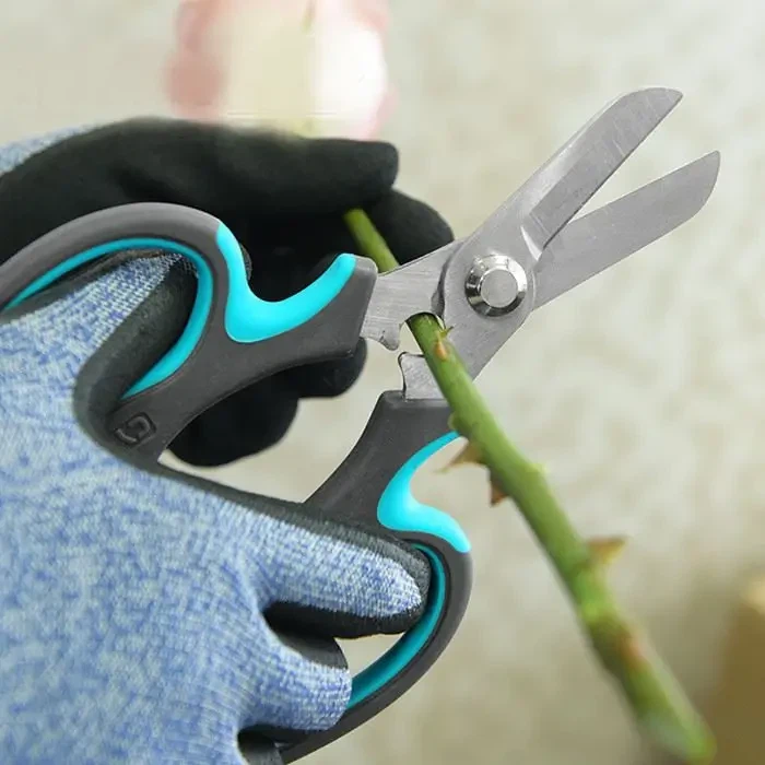 Nožnice a ruže budú perfektnou zhodou