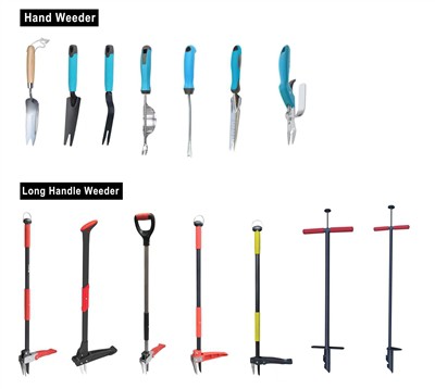 Kultivácia zelene: Prijatie udržateľnosti vo vašej záhrade