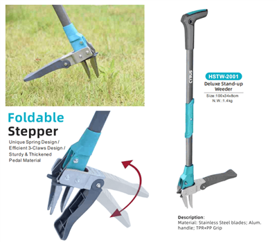 Oslava sviatku polovice jesene po celom svete: Harmónia tradície a záhradného...