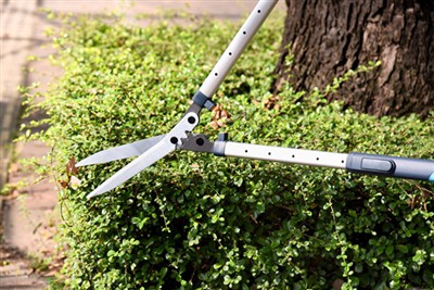 Sprievodca pre hedžové hedžy: Rozšírte životnosť nástroja a posilňujte lojali...